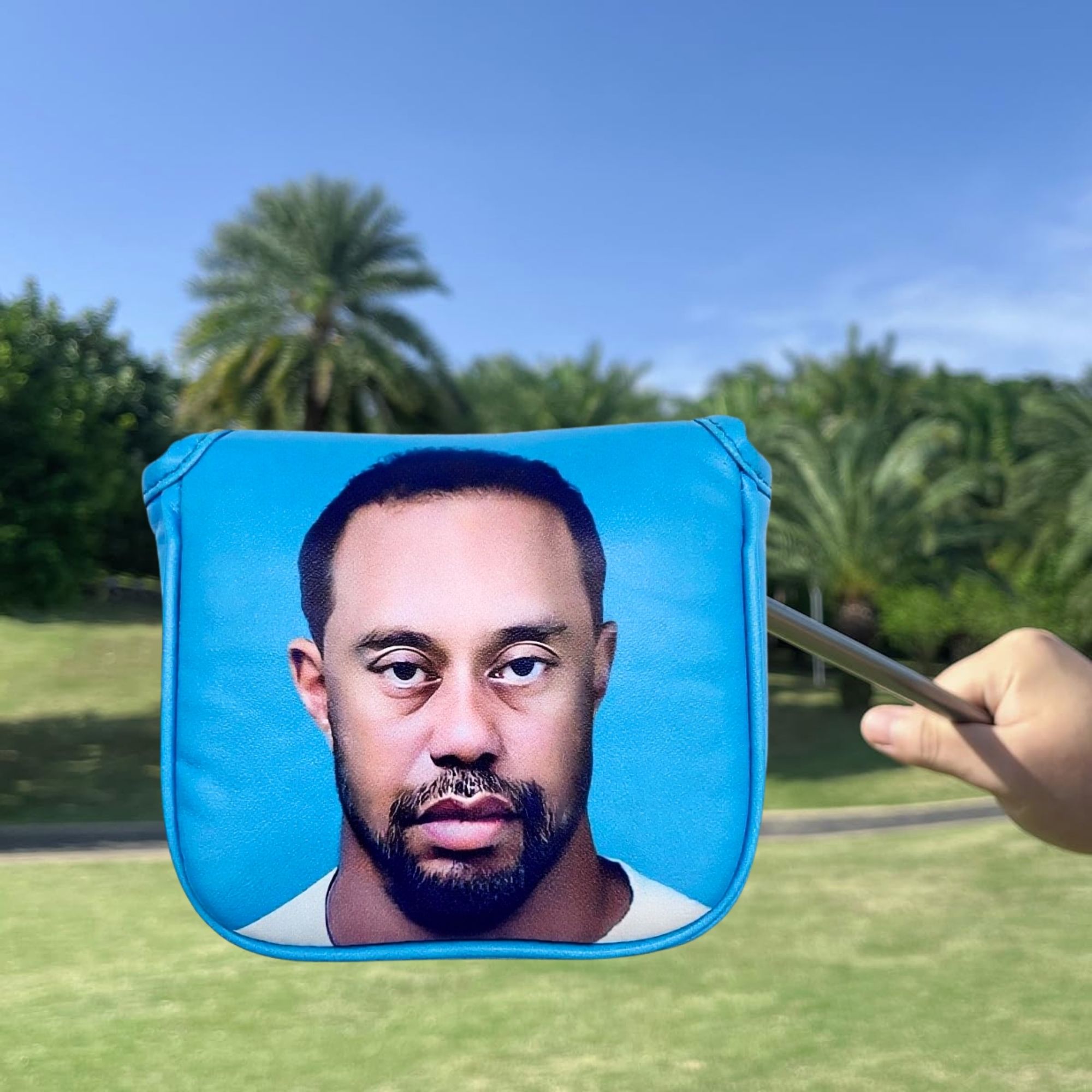 Funny Golf Mallet Putter Head  - Golf Putter recension och pris
